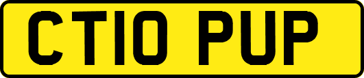 CT10PUP