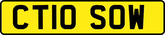 CT10SOW