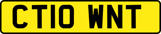 CT10WNT