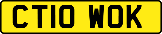 CT10WOK