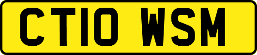 CT10WSM