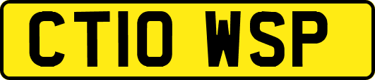 CT10WSP