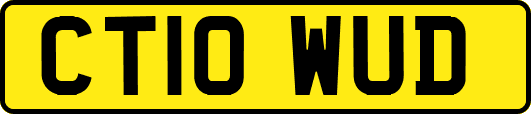 CT10WUD