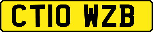 CT10WZB