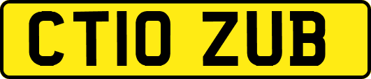 CT10ZUB