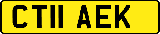 CT11AEK