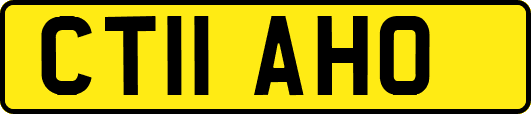 CT11AHO