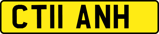 CT11ANH