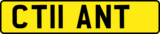 CT11ANT