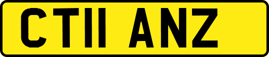 CT11ANZ
