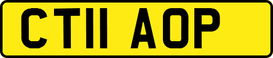 CT11AOP