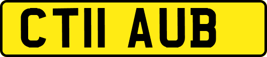 CT11AUB