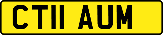 CT11AUM
