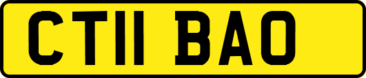 CT11BAO
