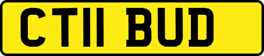 CT11BUD