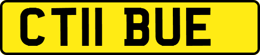 CT11BUE