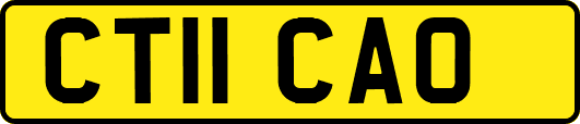 CT11CAO