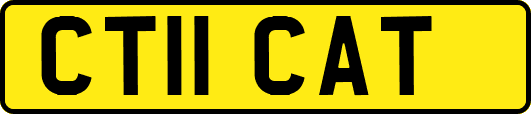 CT11CAT