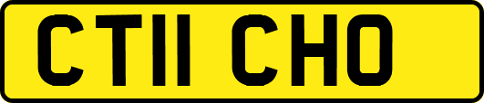 CT11CHO