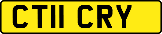 CT11CRY