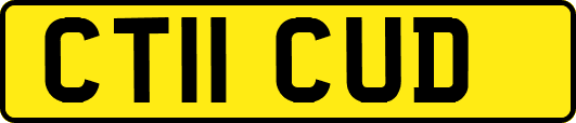 CT11CUD