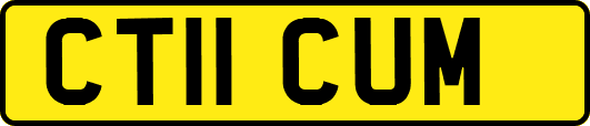 CT11CUM