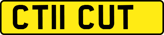 CT11CUT