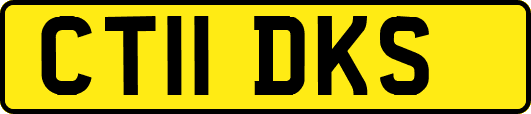 CT11DKS
