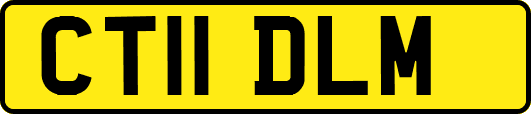 CT11DLM