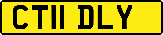 CT11DLY