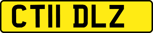 CT11DLZ