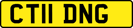 CT11DNG