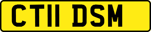 CT11DSM