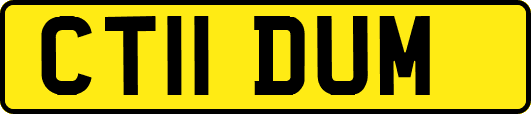 CT11DUM