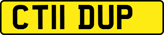 CT11DUP