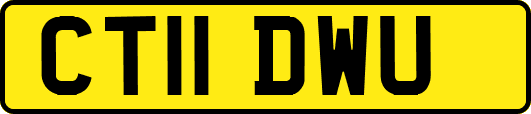 CT11DWU