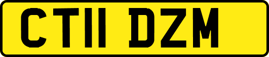 CT11DZM