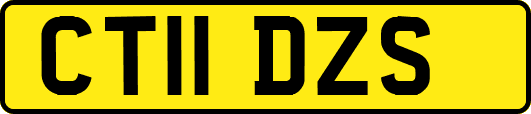CT11DZS