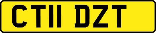 CT11DZT