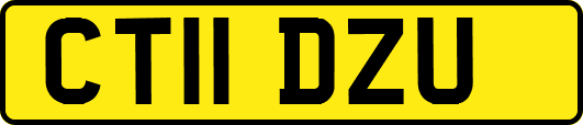 CT11DZU