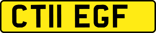 CT11EGF