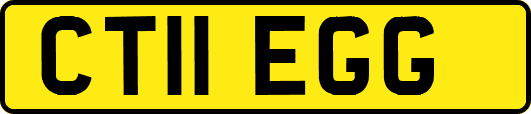 CT11EGG