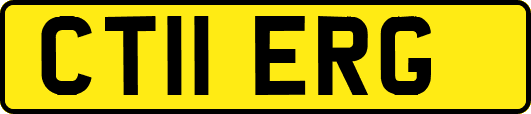 CT11ERG