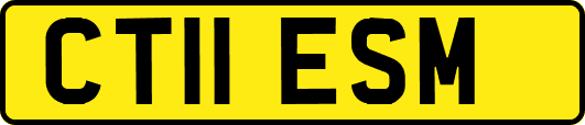 CT11ESM
