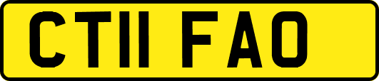CT11FAO