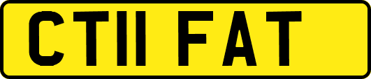 CT11FAT