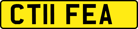 CT11FEA