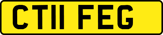 CT11FEG