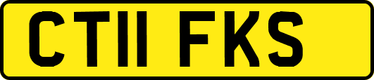 CT11FKS