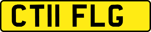 CT11FLG